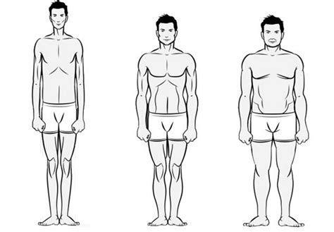 Body Male Body Types Body How To Draw This is because there is no generic way of drawing it