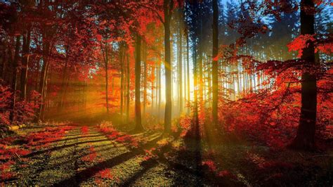 Free Autumn Screensavers Wallpapers - Wallpaper Cave