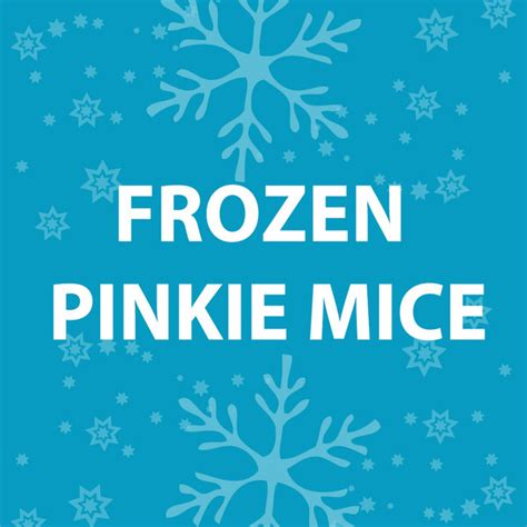 Feeder Mice - Frozen Pinkie | ThatPetPlace.com