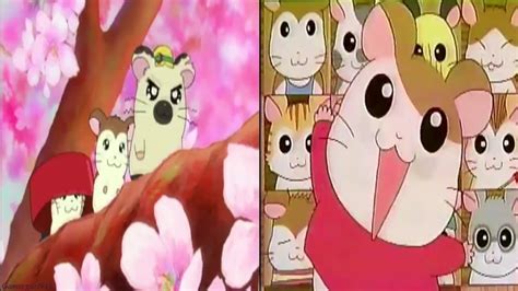 Hamtaro 1999 Japanese Opening Song - Tottoko Hamutaro♡•.:* Chords - Chordify