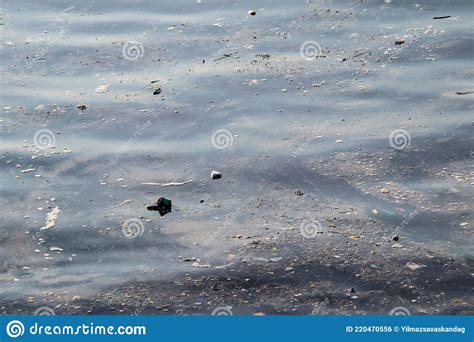 Garbage on the sea surface stock photo. Image of ecological - 220470556