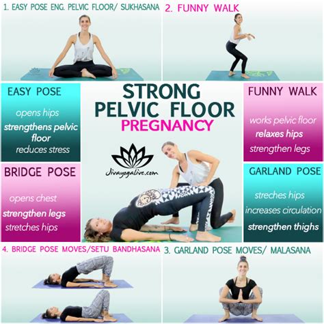 Pelvic Floor Pressure During Pregnancy | Review Home Co