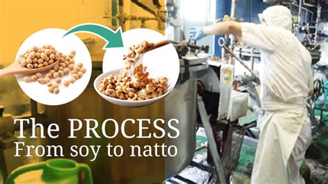 How is Japanese natto made?