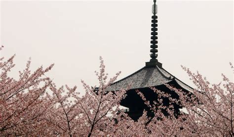 Toji Temple | Japan Cheapo