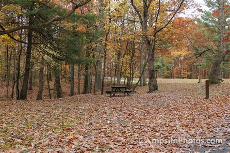 Babcock State Park - Campsite Photos, Reservations & Camping Info