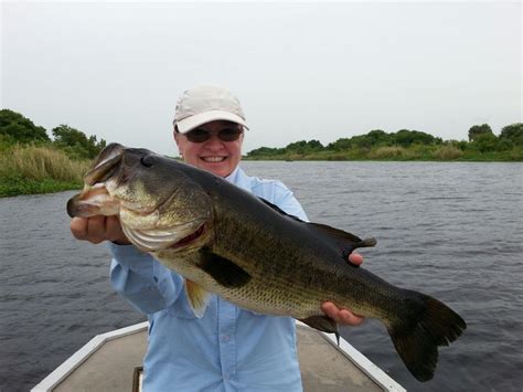 Okeechobee Bass Fishing still hot on Lake Okeechobee! – Lake Okeechobee ...