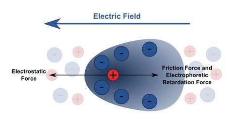 Properties Of Colloids- Physical, Electrical, Optical & Kinetic Properties