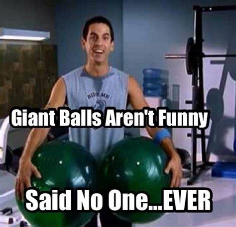 NOBODY said giant balls aren't funny | Funny pictures, Ball exercises, Funny