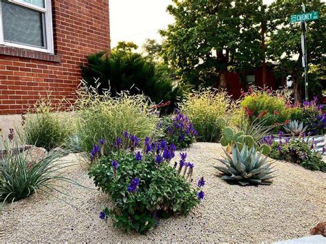 25 Xeriscape Ideas for Your Yard