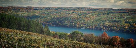 Fine dry wines | Keuka Lake Vineyards | United States