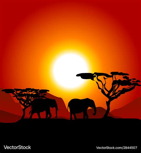 Silhouettes of elephants on African sunset Vector Image