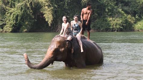 Elephant bathing, Kanchanaburi, Elephant camp - YouTube