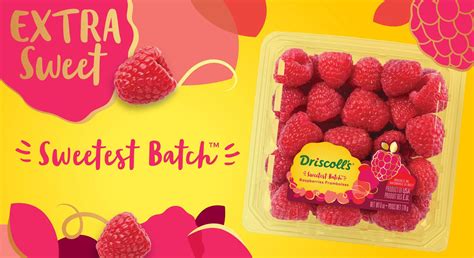 Sweetest Batch™ Raspberries | Driscoll’s