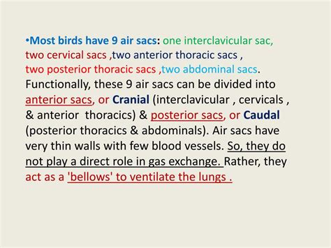 PPT - The avian respiratory system PowerPoint Presentation, free ...