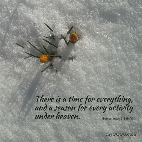 "There is a time for everything, and a season for every activity under heaven." Ecclesiastes 3:1 ...