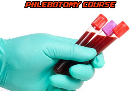 Phlebotomy Pictures - ClipArt Best
