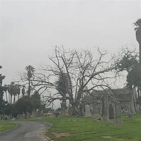 Evergreen Cemetery, Los Angeles : r/CemeteryPorn