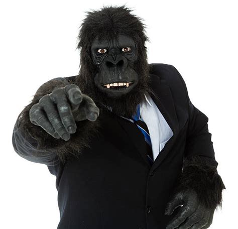 Best Monkey Wearing Suit Stock Photos, Pictures & Royalty-Free Images - iStock