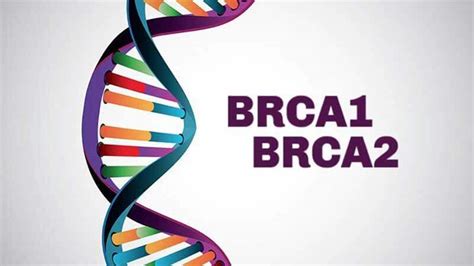 My Story with the BRCA2 Variant | Functional Medicine | Gene Mutation