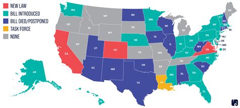 Data Privacy in America