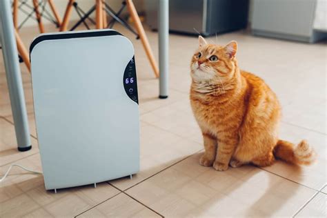 Best Air Purifier for Pets of 2022 Reviews | Airborne Purifier