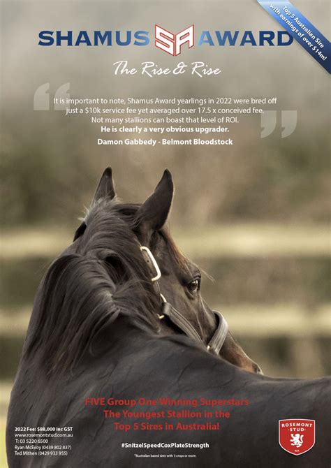 Shamus Award - Stallion | Breednet