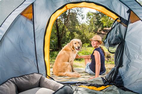 Travel tips for you and your pets | RACQ