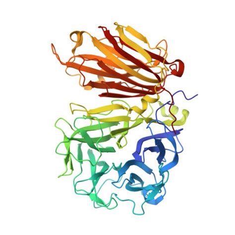 RCSB PDB - 2XQR: Crystal structure of plant cell wall invertase in complex with a specific ...