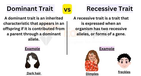 Recessive Gene Examples