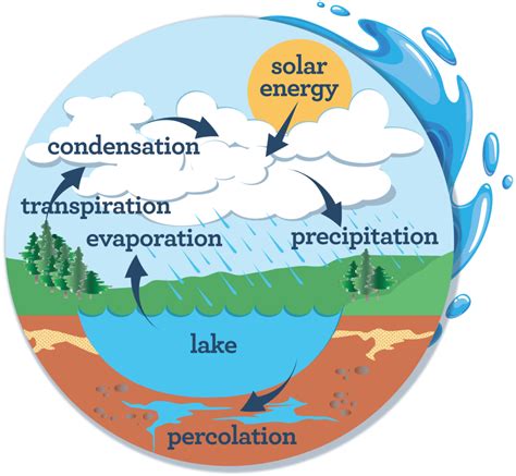 The Water Cycle | WaterMatters.org