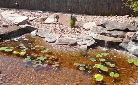 How To Build A Concrete Fish Pond