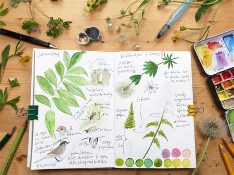 Nature Journaling - Drawing Ideas For Spring | Julia Bausenhardt ...