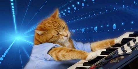 The Life and Times of Keyboard Cat, Everyone's Favorite Fail Meme