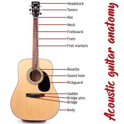 Guitar Labelling Activity Labelled Diagram Of A Guitar | atelier-yuwa.ciao.jp