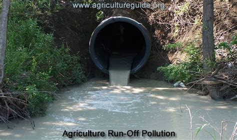 Agricultural Pollution : What it is and its effects ? - Basic Agriculture