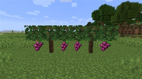 Simple Farming Mod 1.16.5, 1.15.2 (More Fruits, Vegetables, and Meals ...