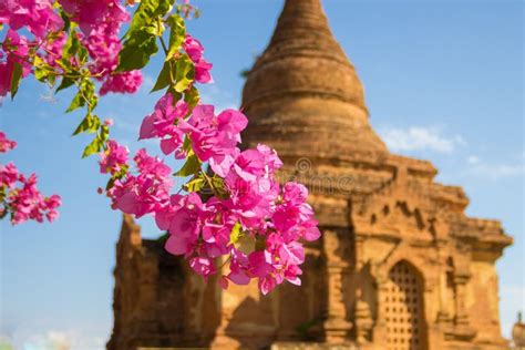 Myanmar Bagan Temples Light Burma Travel Pagan Kingdom Stock Image - Image of blue, travel: 94674609