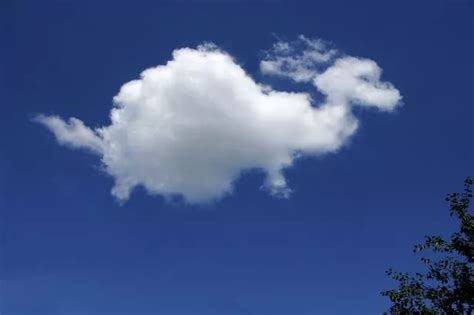 Pictured: X-rated cloud shaped like penis above motorway leaves motorists laughing - Irish ...