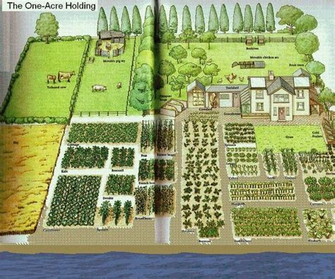 1 acre farm | Farm layout, Homestead layout, Garden layout vegetable