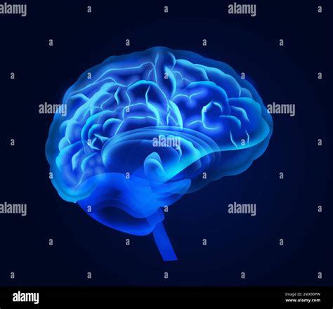 Illustration of human brain on blue background Stock Photo - Alamy
