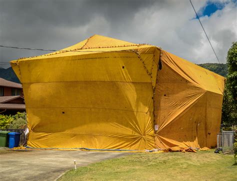 3 Preparation Tips for Tent Fumigation - Pest Tech Hawaii - Honolulu | NearSay