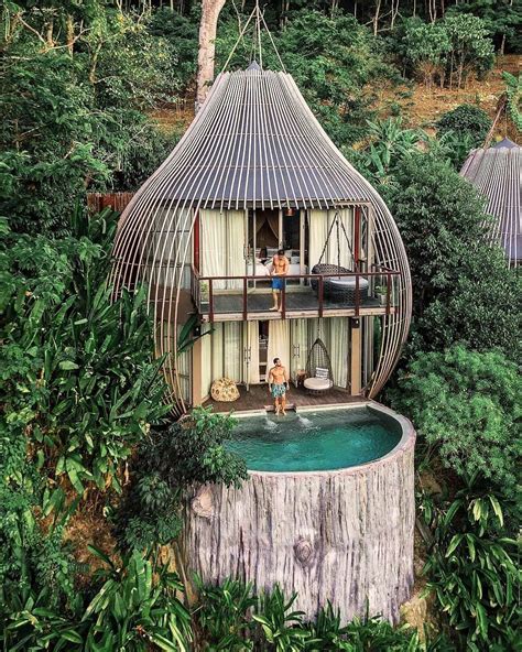 Fantastic design of the forest hotel - Phuket province Thailand | Tree house designs, Cool tree ...