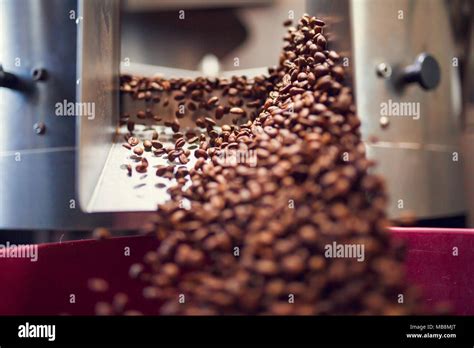 Image of falling coffee beans from roaster close-up Stock Photo - Alamy