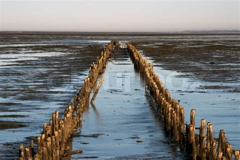 Danish Wadden sea national park | Stock image | Colourbox