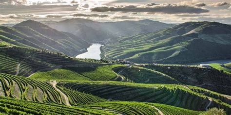 The Wild Upper Douro: An International Treasure