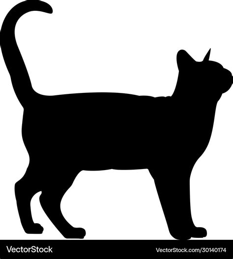 Black cat silhouette elegant cat side view Vector Image