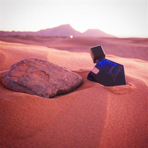 02 L'Air du Desert Marocain Tauer Perfumes perfume - a fragrance for women and men 2005