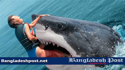 World's Top 10 Worst Shark Attacks In History - Bangladesh Post