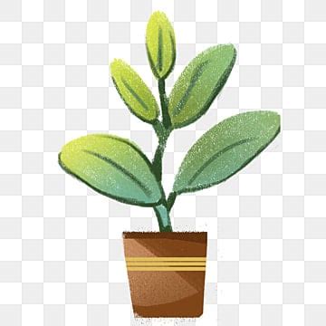 Cartoon Plants PNG Transparent Images Free Download | Vector Files ...