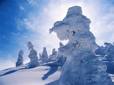 Anthony Coronado photography | Mt. Zao Snow Monsters, 2014 | Japan 蔵王山の樹氷 | Trees of Mt. Zao ...